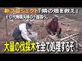 【新プロジェクト】隣の畑を救え!大量の伐採木を全て処理して薪にする|60代無職夫婦の小屋暮らし・自給自足ライフ