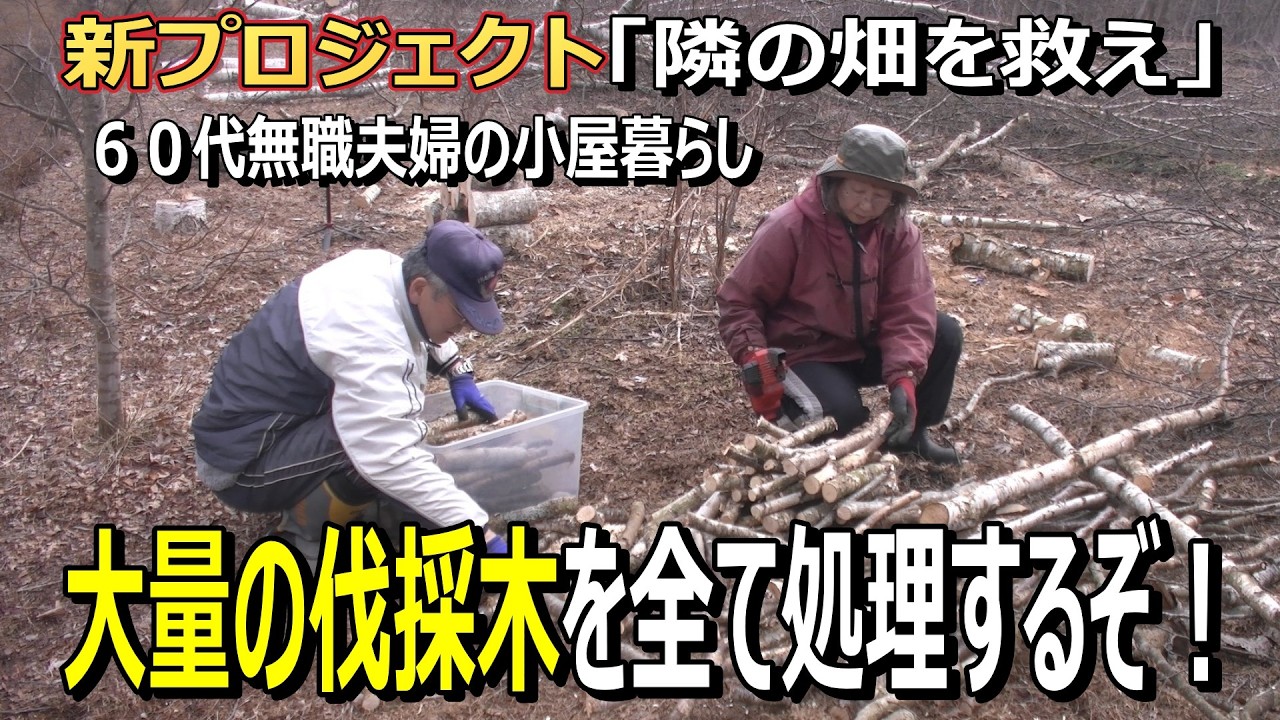 【新プロジェクト】隣の畑を救え!大量の伐採木を全て処理して薪にする|60代無職夫婦の小屋暮らし・自給自足ライフ