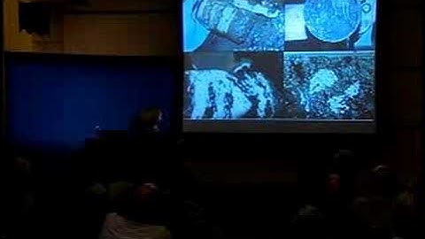 Methane Hydrates: Natural Hazard or Natural Resource? - Perspectives on Ocean Science