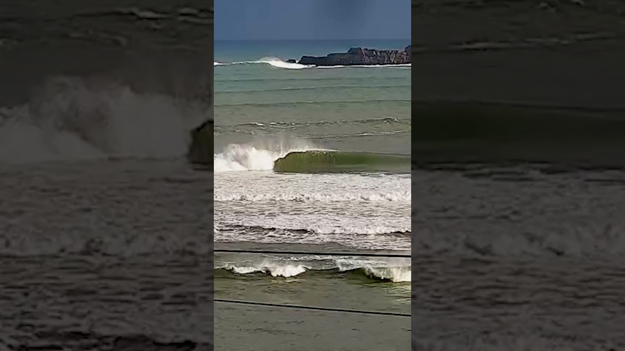 Clips