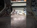3D wallpaper Printing #wallpaper #3dprinting #foryou #viralvideo #viralshorts