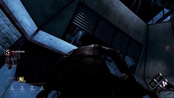 Lery Memorial Institute Killer Glitch