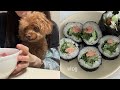 vlog | 김밥카페에 캐스팅당한 사람 브이로그 | 쇼핑 몇 개🛍️ | 서울숲 나들이.. 라고 해도 될까 | 직장인 도시락