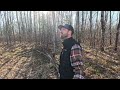 Walking through the woods. So much beauty to find. Rivers, trees, grasslands and birds.
