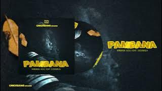 Mwana Asili Feat Susumila (Pambana)  Audio