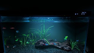 аквариум xiaomi mijia smart fish tank myg100. 4 месяца, все плохо? Финал