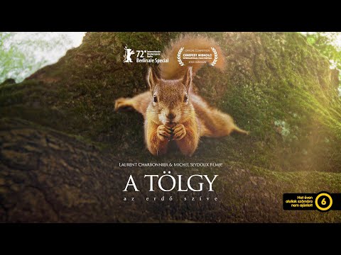 A tölgy - Az erdő szíve (6) lélegzetelállító természetfilm egy tölgyfáról és lakóiról