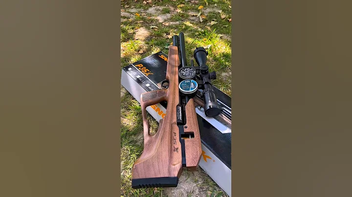 Snowpeak P35X + H&N Slug Short = Precision! 💥 #airgun #hunting