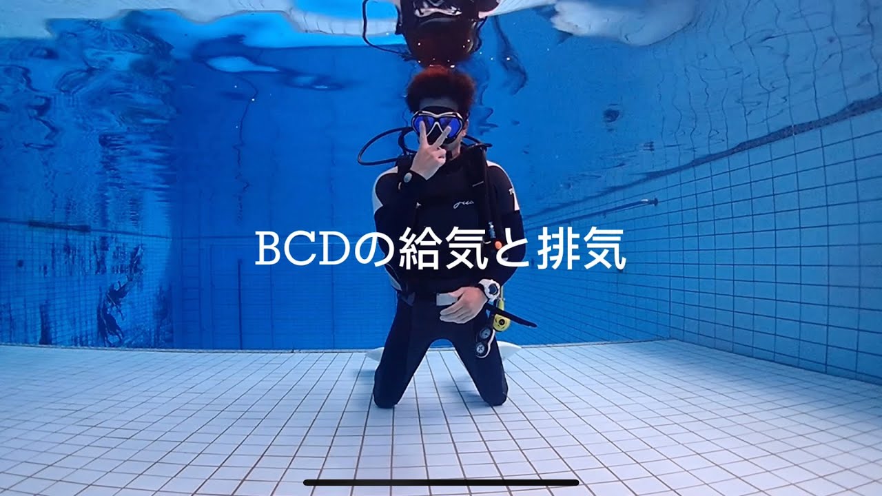 【Juaダイブスキル】BCDの給気と排気