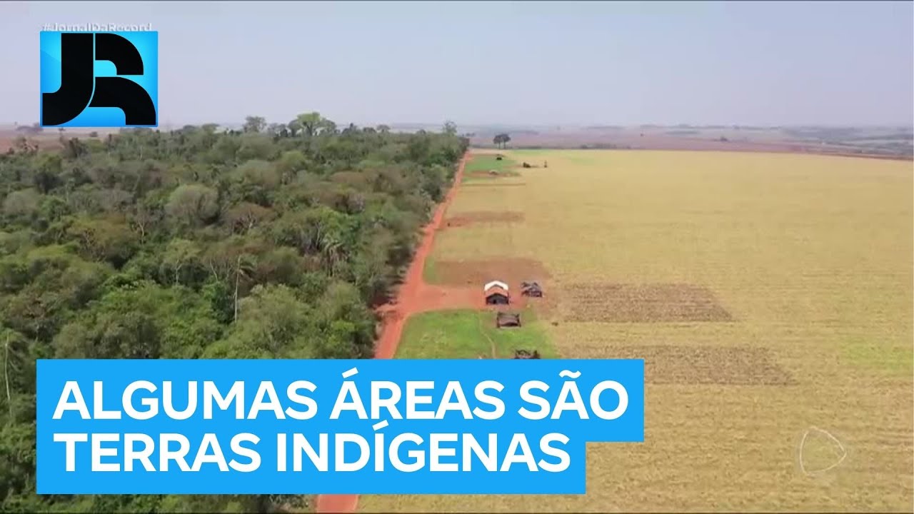 Produtores rurais e povos originários travam disputa tensa sobre propriedade de terras no Paraná