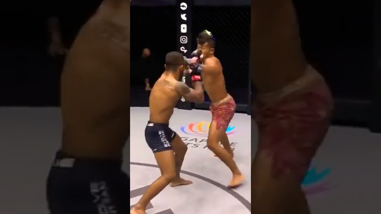 Crazy MMA 
