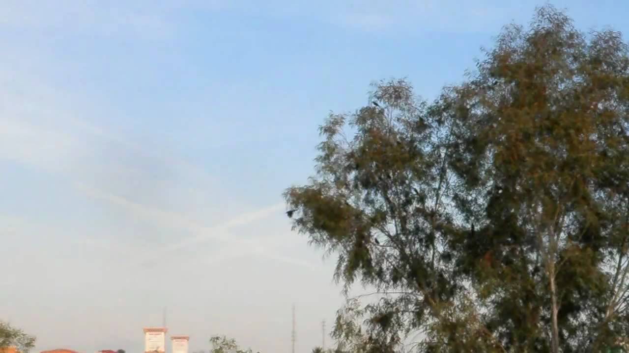 Jean Novak =  Beautiful = Bright Light for Us All