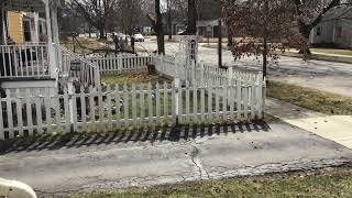 Wind knocked down big tree branch
