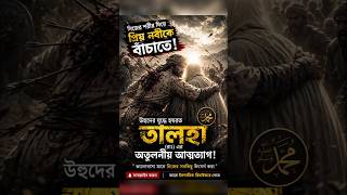 আপনি কি পারবেন নবী (সা.)-কে বাঁচাতে? | Talhah ibn Ubaydullah (রা.) 💔 | #youtubeshort