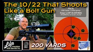 A 10/22 that shoots like a bolt gun.... Holy Moly!