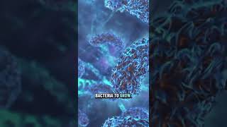 2 lawsuits filed in deadly Harlem Legionnaires' disease outbreak