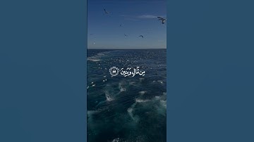 ﴿ فَذَرۡهُمۡ فِي غَمۡرَتِهِمۡ حَتَّىٰ حِينٍ ﴾ | #تلاوات #سورة_المؤمنون