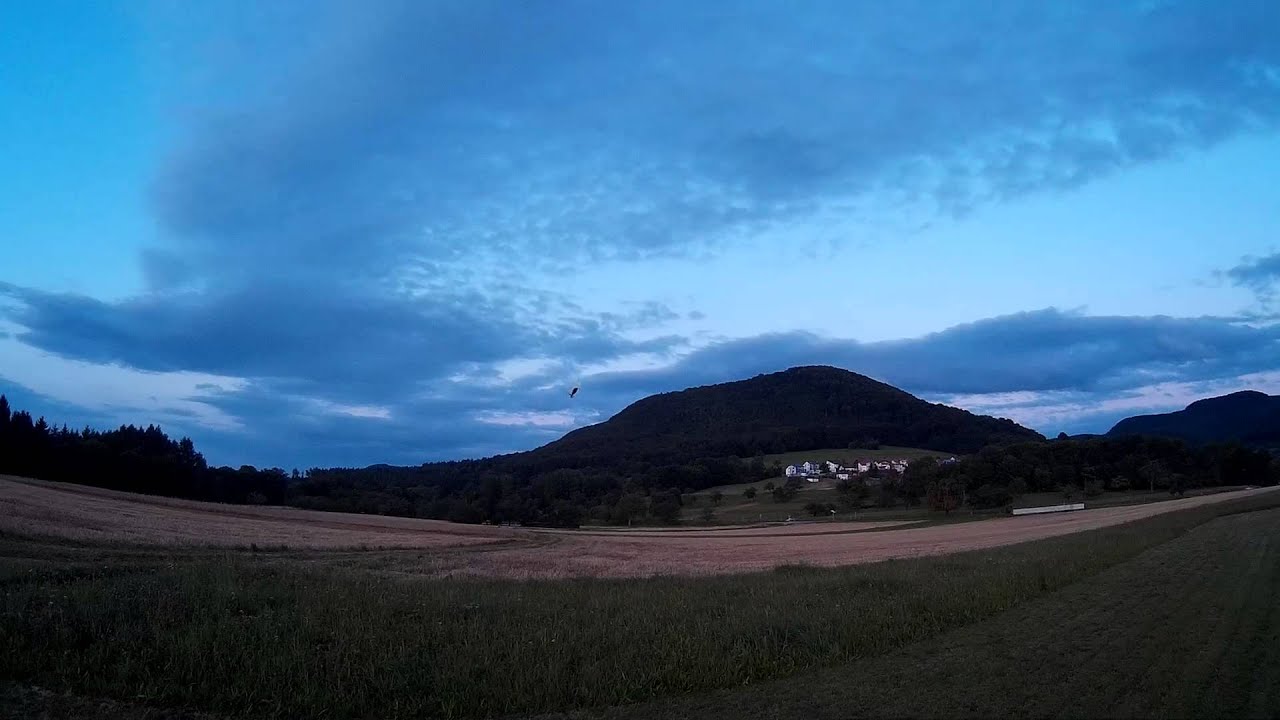 Logo 600 SX  12S   KForce 120HV  BLHeli Firmware