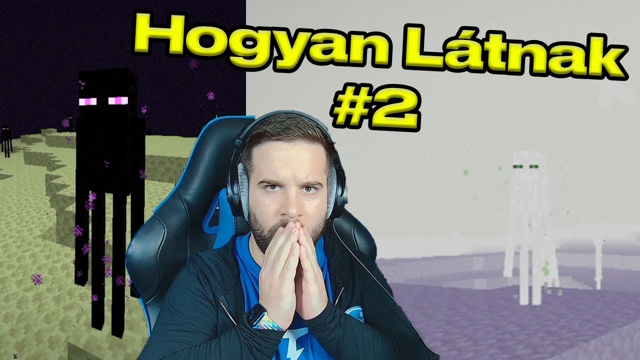 Hogyan lát az ENDER SÁRKÁNY... | Hogyan látnak a mobok a Minecraftban #2