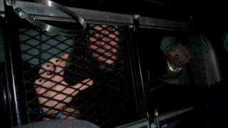 S.e.x. Department - Back My Uniform