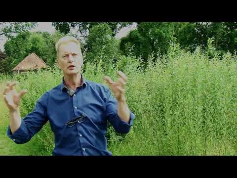 Voedselbos Halderberge
