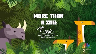 More Than A Zoo: 1 Year At The Living Desert