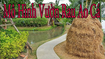 mô hình vườn rau ao cá.