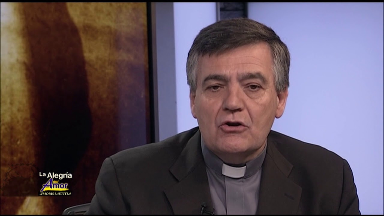 llamas with hats AMORIS LAETITIA – CAP VIII: ACOMPAÑAR, DISCERNIR E INTEGRAR LA FRAGILIDAD – 2 [Ep.11 2016-T1]