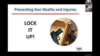 Preventing Gun Deaths and Injuries