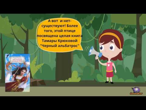 Черный альбатрос
