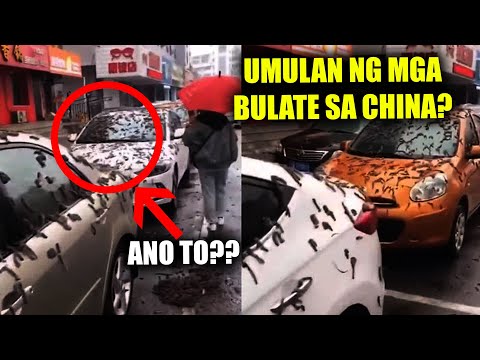 Video: Ano ang nilikha sa dulo ng pagtitiklop ng DNA?