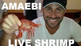 Eating Live Sweet Spotted Shrimp Amaebi Sashimi