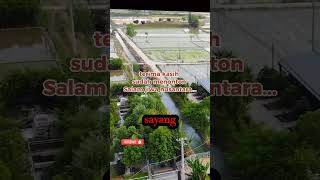 Neo Jiblesmuda Mudikoes Plus