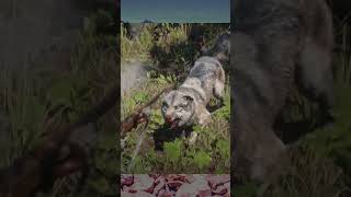 Red Dead Redemption 2 Online: Tracking the Legendary Onyx Wolf #gameplay #fypシ #rdr2 #gaming