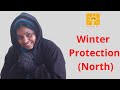 Winter Protection (North)| How to protect from winter| By #KaviKrishna_Ideas | By #KK_Ideas