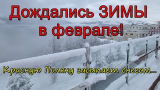 Дождались зимы в ФЕВРАЛЕ: Красная Поляна  засыпана снегом 03.02.2023