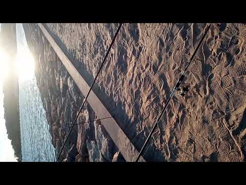 صيد سمك اجاج