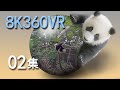 VR panda space 15 min episode 02 VR熊猫空間02集【8KVR 360VR】