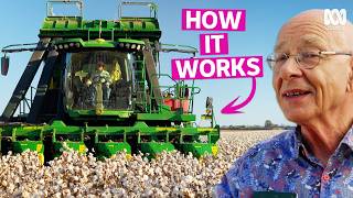 Download Lagu How Cotton Is Harvested In Australia (And Why It Uses Less Water) MP3