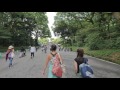 Videowalk in Meiji shrine