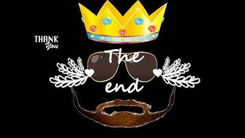 Macromidea Flach 8 Pro Part 1| How to use the tool bar