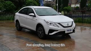 DFM S50EV