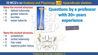 50 Appendicular skeleton practice questions by professor #appendicularskeleton #bones #boneanatomy