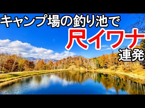 尺イワナ連発の高ソメキャンプ場でソロキャンプ