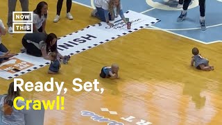 The 'Most Intense Baby Race Ever' Takes Basketball Arena by Storm