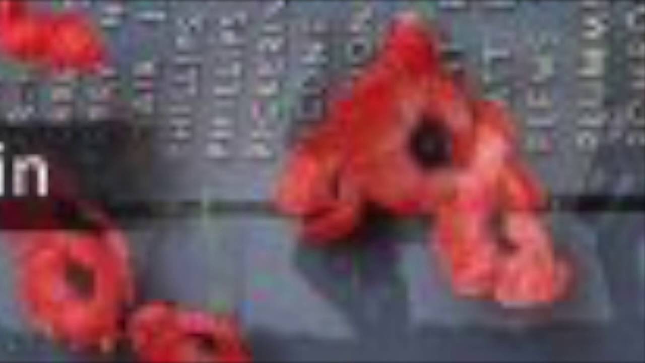 Gallipoli in Retrospect- A Contemporary Histories Seminar