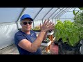 Tour of Lotspeich Family Farm's new greenhouse and store