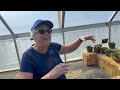 Tour of Lotspeich Family Farm's new greenhouse and store