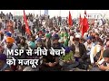 Farmers Protest: प्रदर्शनकारी किसानों के लिए सबसे बड़ा मुद्दा MSP