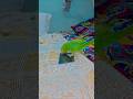 #remix #1000subscriber #1000subscriber #birds #totalgaming